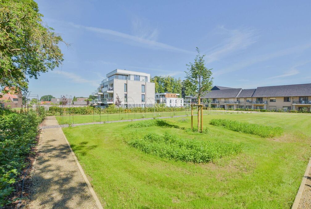 Dit energiezuinig appartement (2018) +/- 86m² werd gebouwd met een zeer goede energieprestaties (PEB A) en is samengesteld als volgt:
inkomhal, apart toilet, woonkamer uitgevend op een mooi terras en tuin (voor exclusief en privé gebruik) ZUID-WEST, vol